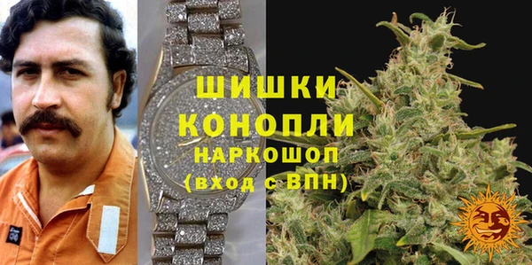 тгк Мегион