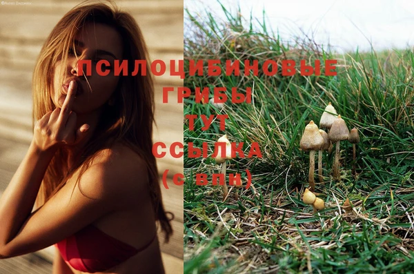тгк Мегион