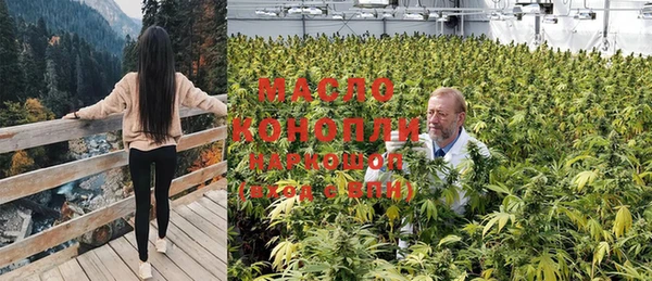 стафф Медногорск