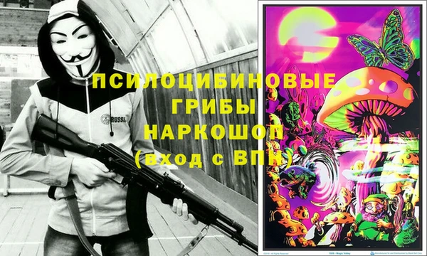 тгк Мегион