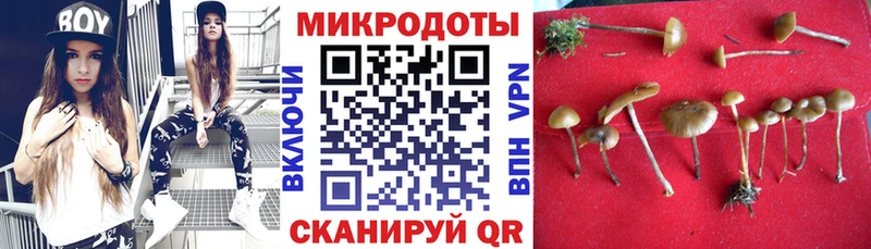 наркотики  Талица  Псилоцибиновые грибы мухоморы 